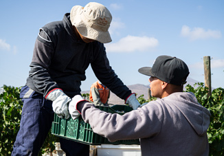 men-at-work men-at-work