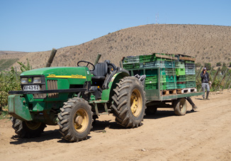 tractor tractor